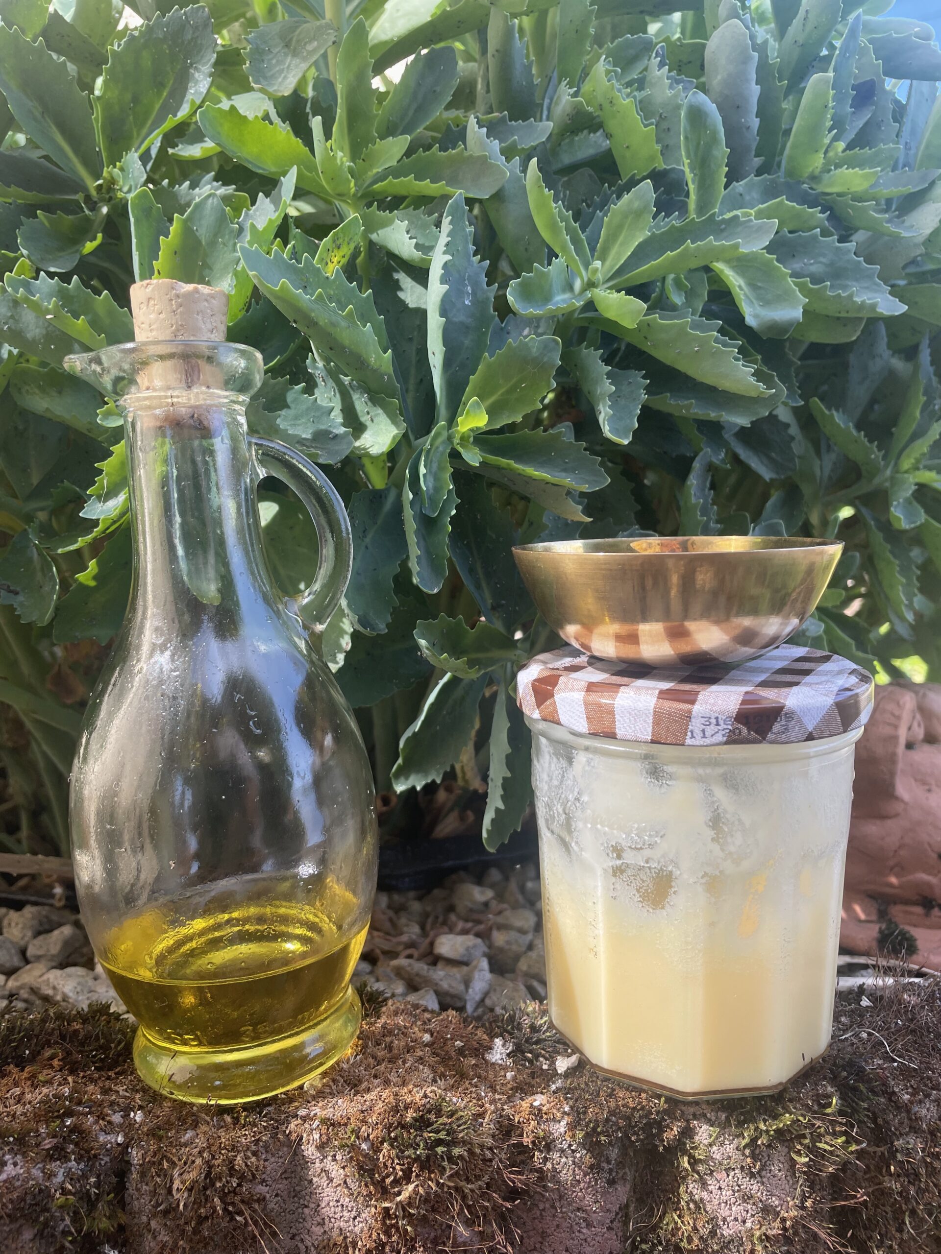 ayurveda