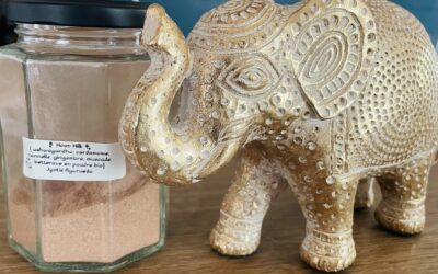 Problème de sommeil: le moon milk (lait de lune)